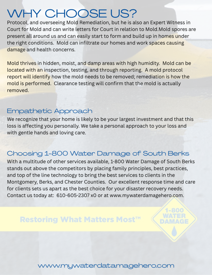 Text discussing the benefits of choosing a service, with a focus on expertise and personalized solutions.